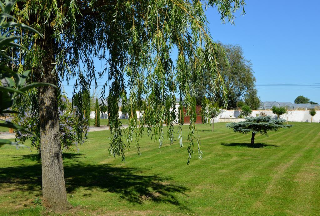 Le Coteau De Bazeille Sauna&Detente Sas Sainte-Bazeille Exterior foto